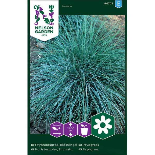 Ornamental Grass Blue Fescue