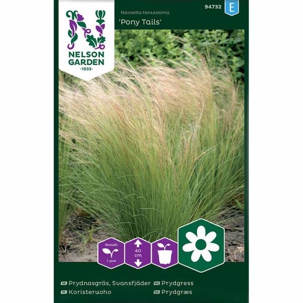 Mexican Feather Grass 'Pony Tails'