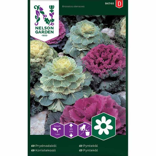 Ornamental Kale