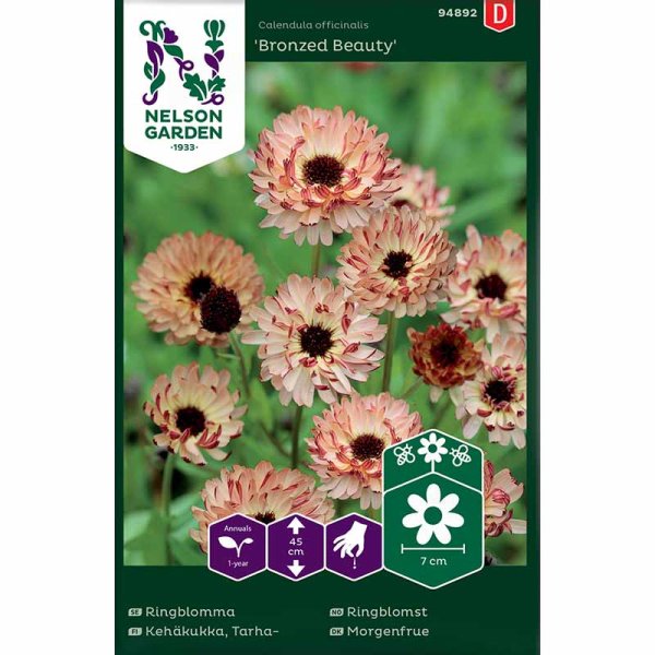 Calendula 'Bronzed Beauty'