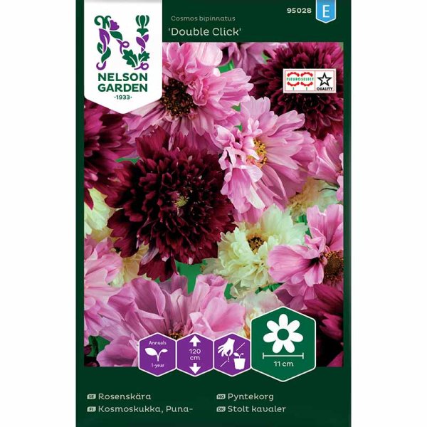 Cosmos 'Double Click'
