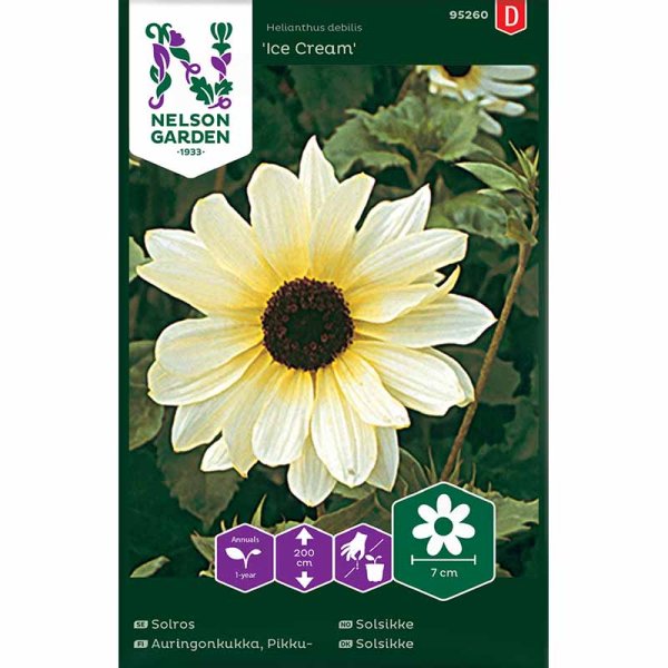 Sunflower 'Ice Cream'