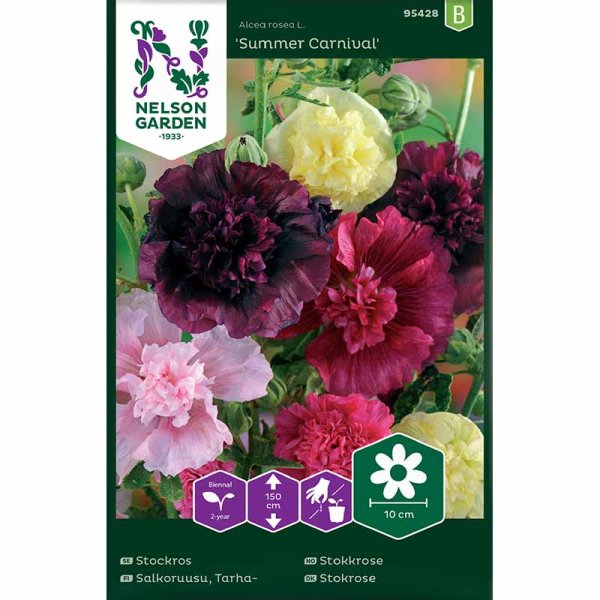 Hollyhock 'Summer Carnival'