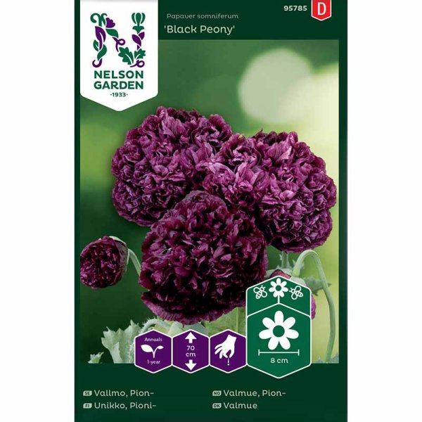 Peony Poppy 'Black Peony'