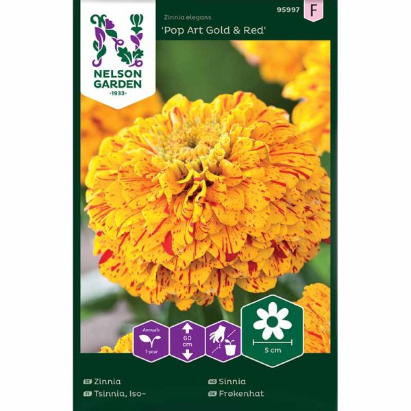 Zinnia 'Pop Art Gold & Red'