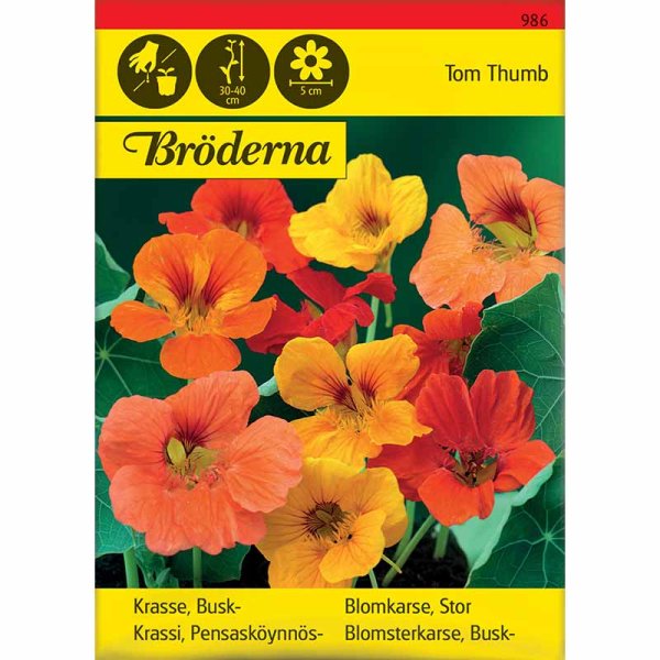 Dwarf Nasturtium 'Tom Thumb'