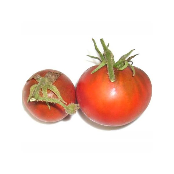 Tomato 'Black Truffle'