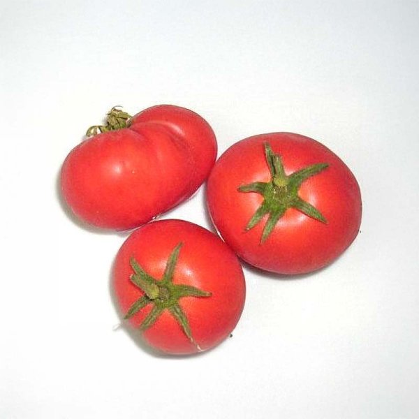 Tomato 'Harzfeuer'