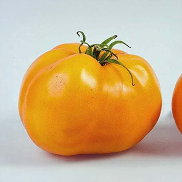 Tomato 'Golden Sunray'