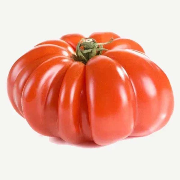 Tomato 'Costoluto Genovese'