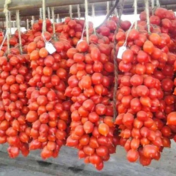 Tomato 'A Grappoli dInverno'