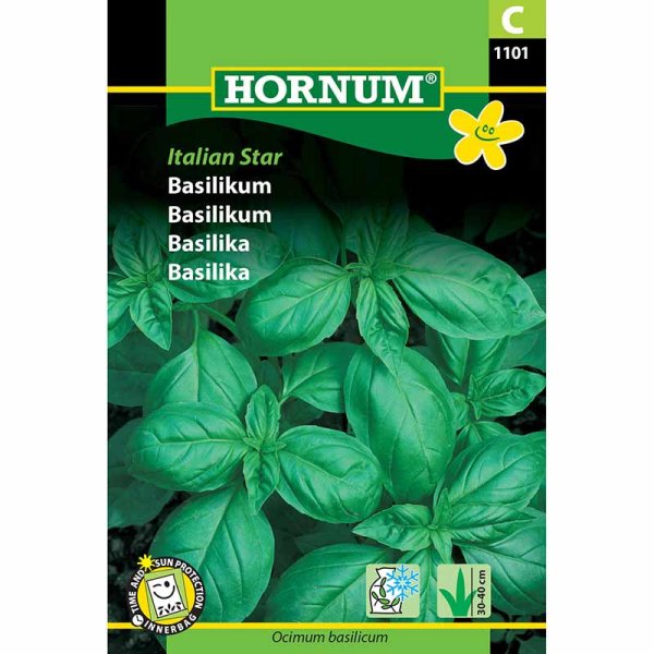 Basil 'Italian Star'