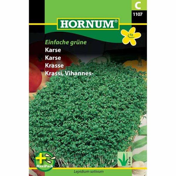 Cress 'Einfache grüne' MaxiPack