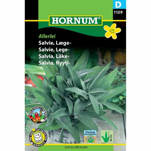 Medicinal Sage 'Allerlei'