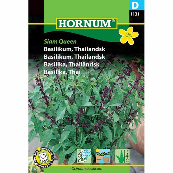 Thai Basil 'Siam Queen'