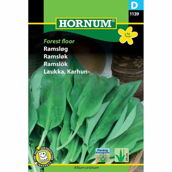 Ramsons 'Forest Floor'