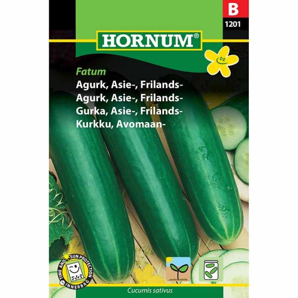 Outdoor Cucumber 'Fatum'