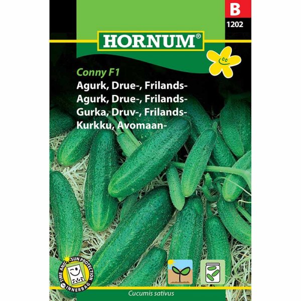 Outdoor Cucumber 'Libelle' F1