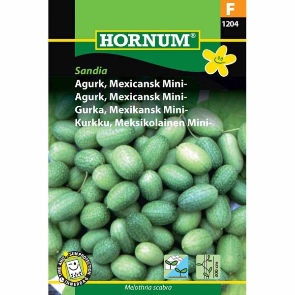 Mexican Mini Cucumber 'Sandia'