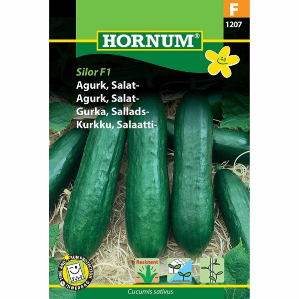 Slicing Cucumber 'Silor' F1