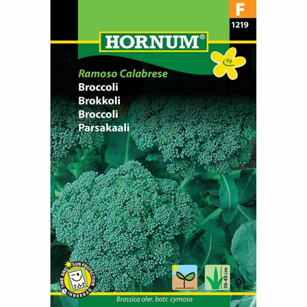 Broccoli 'Ramoso Calabrese'