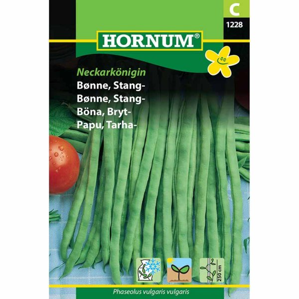 Snap Bean 'Neckarkönigin'