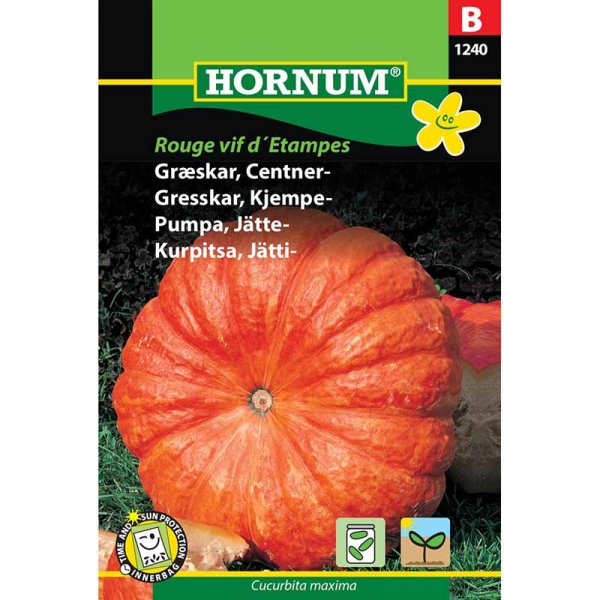 Giant Pumpkin 'Rouge très hâtif d'Étampes'