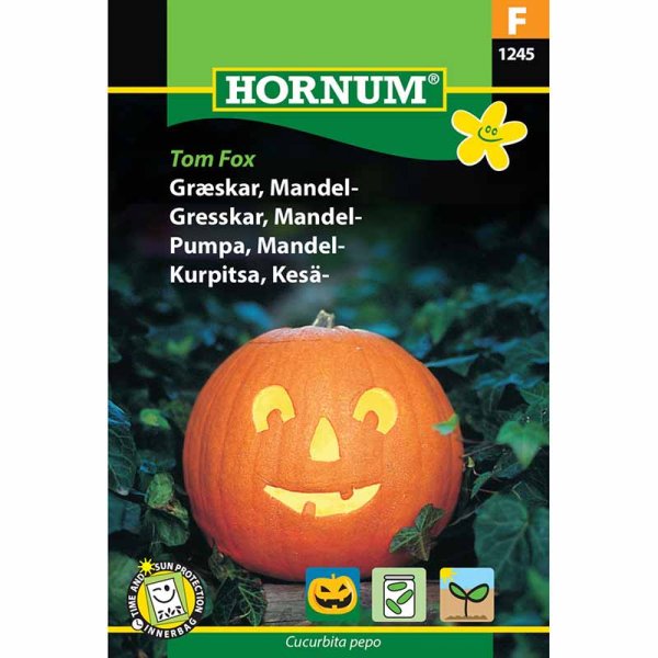 Oil Pumpkin 'Tom Fox'