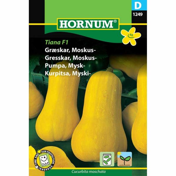 Butternut Squash 'Tiana' F1