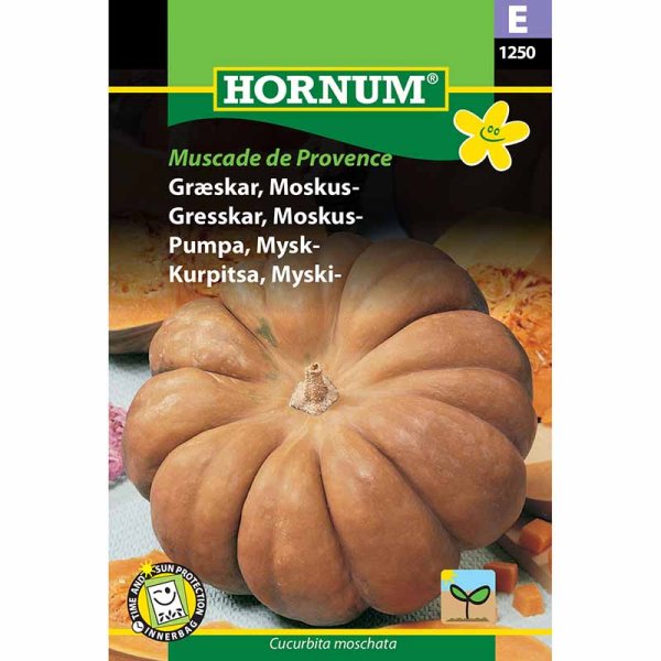 Butternut Squash 'Muscade de Provence'