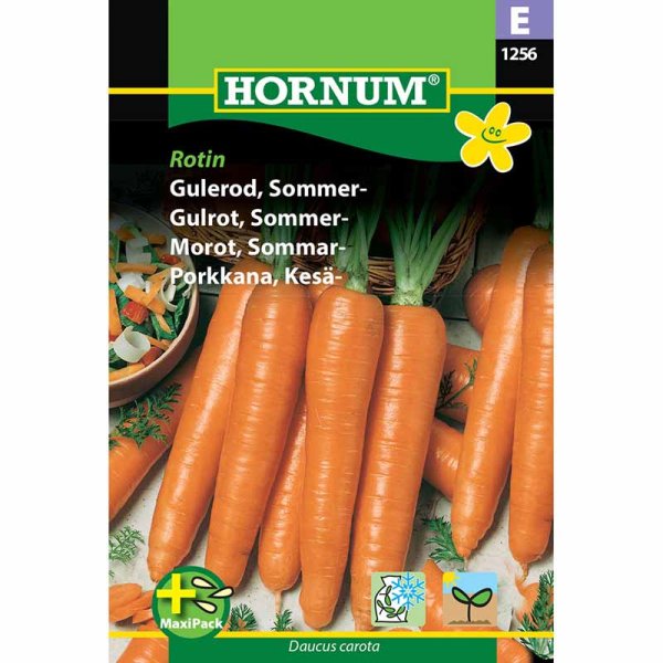 Summer Carrot 'Rotin' MaxiPack