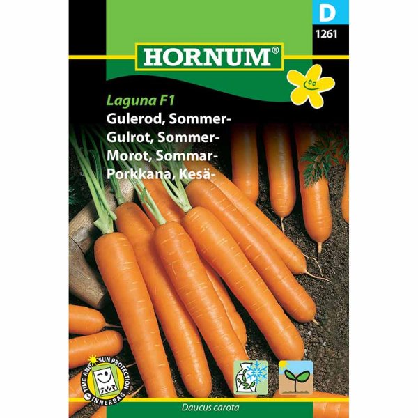 Summer Carrot 'Napoli' F1