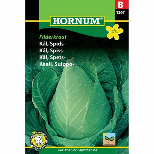 Pointed Cabbage 'Filderkraut'