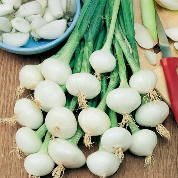 Onion 'De Vaugirard'