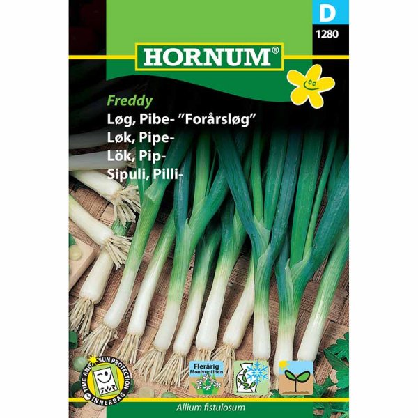 Welsh Onion 'Kaigaro'