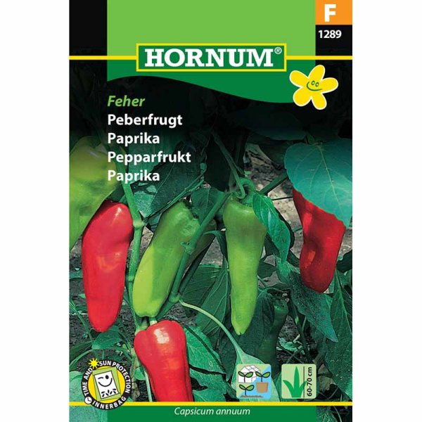 Sweet Pepper 'Kostas' F1