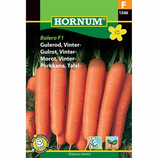 Winter Carrot 'Bolero' F1