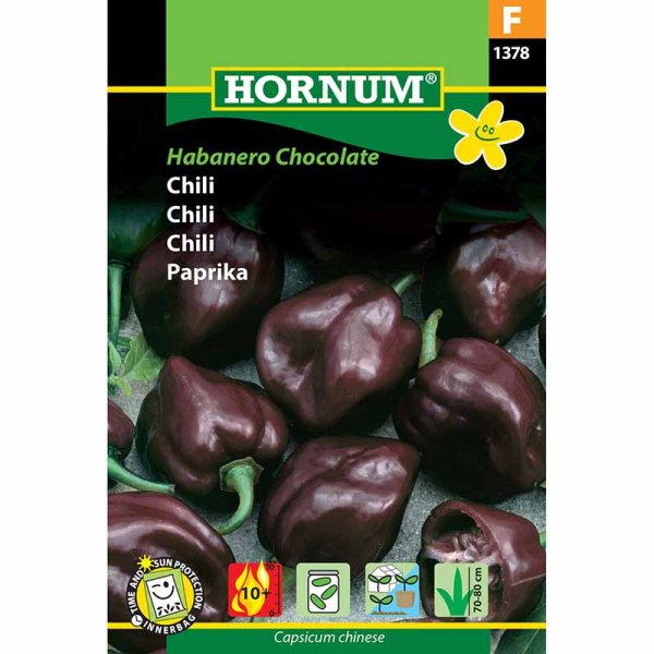 Chili 'Habanero Chocolate'