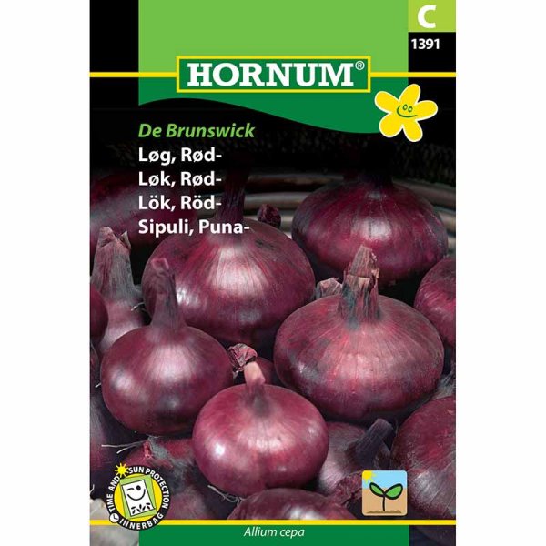 Red Onion 'Braunschweiger Dunkelblutrote'