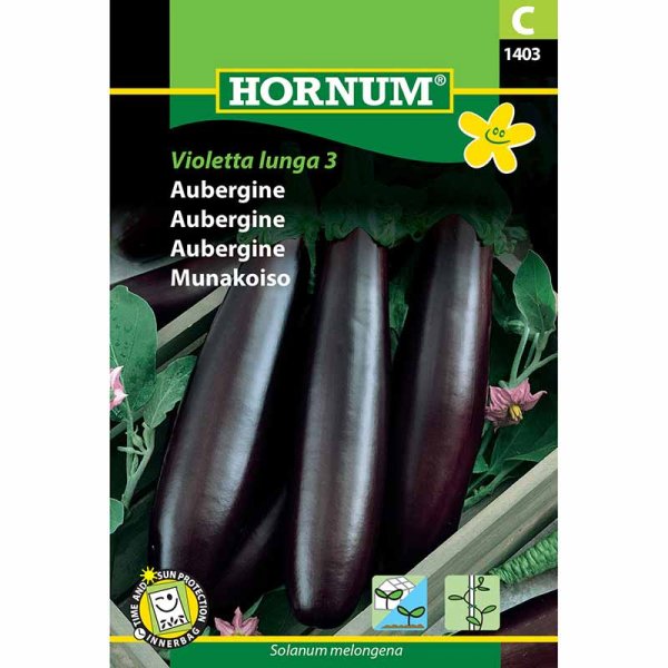 Eggplant 'Violetta lunga 3'