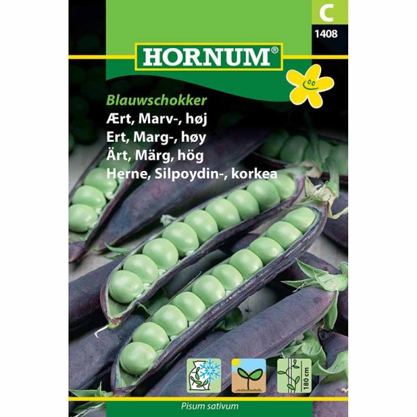 Shelling Pea 'Blauwschokker'