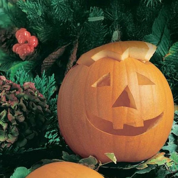 Oil Pumpkin 'Jack O’Lantern'