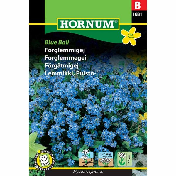 Forget-me-not 'Blue Ball'