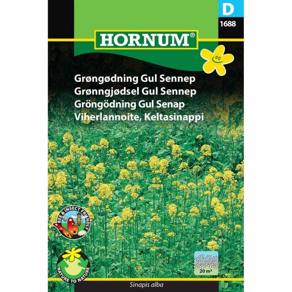 Green Manure Yellow Mustard