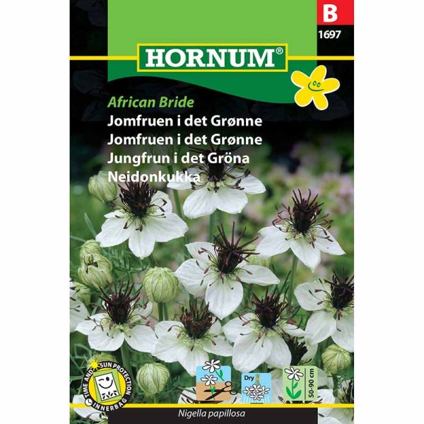 Love-in-a-Mist 'African Bride'