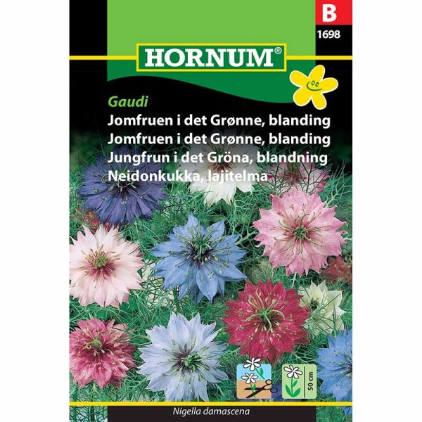 Love-in-a-Mist 'Gaudi'