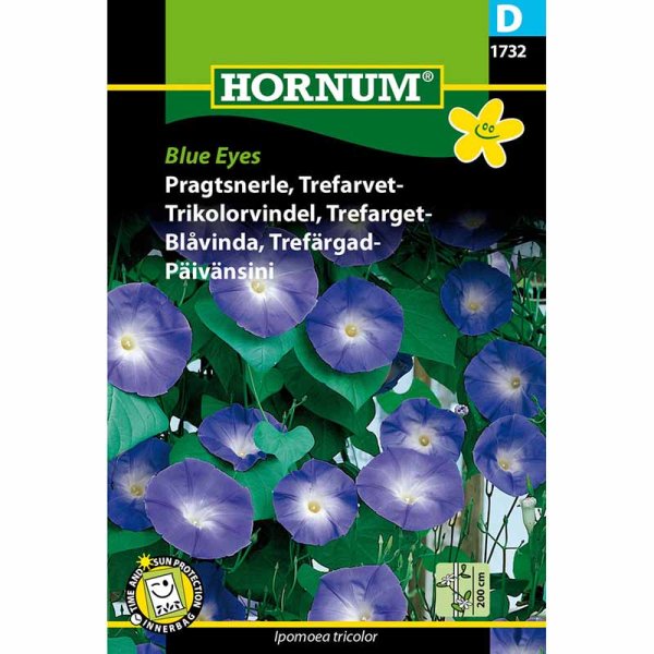 Tricolor Morning Glory 'Blue Eyes'