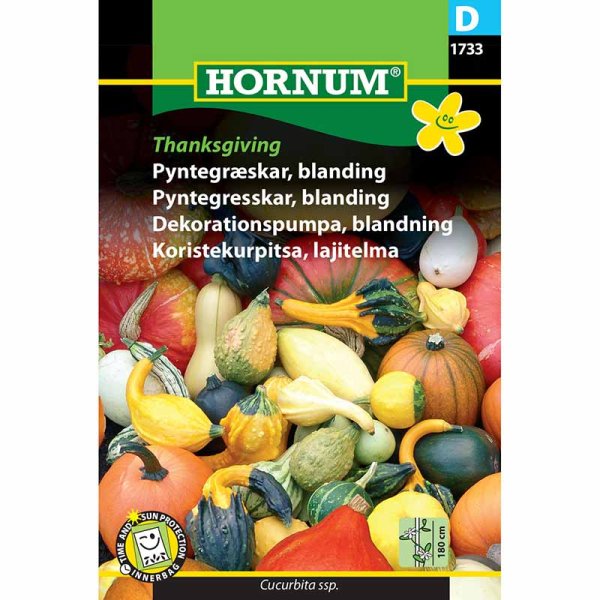 Ornamental Gourd 'Thanksgiving'