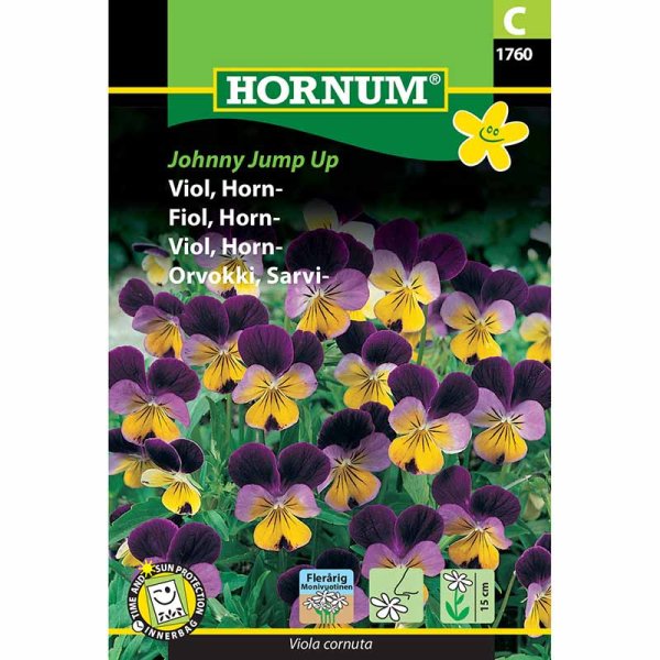 Horned Violet 'Johnny Jump Up'