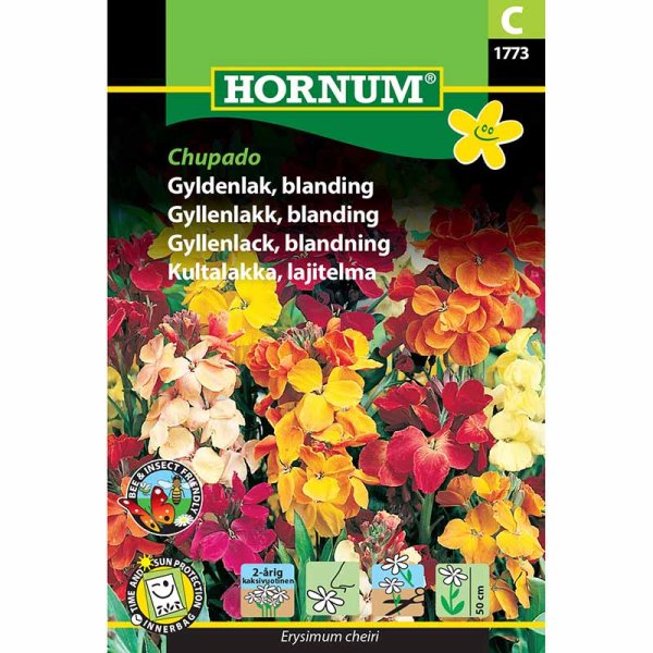 Wallflower 'Chupado'